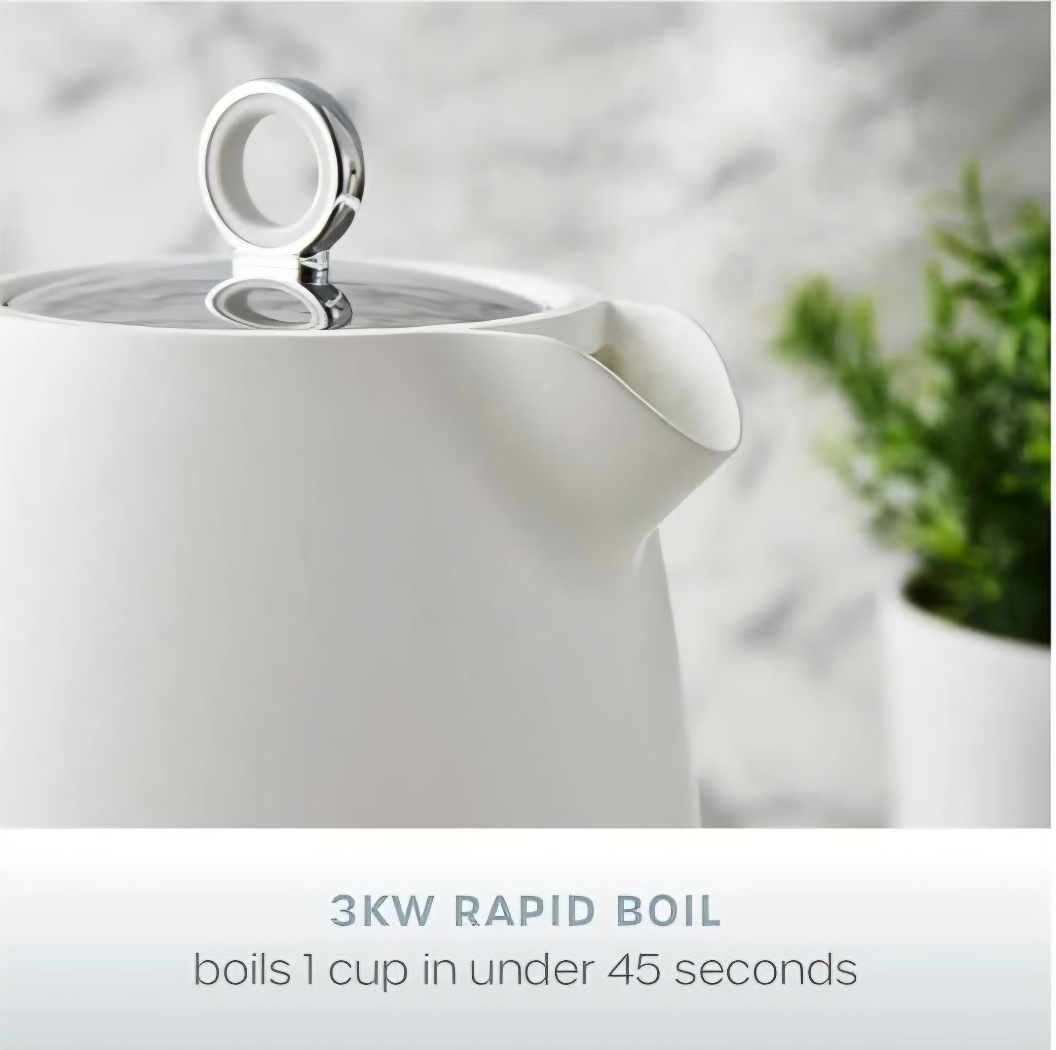 Swan Serenity Kettle