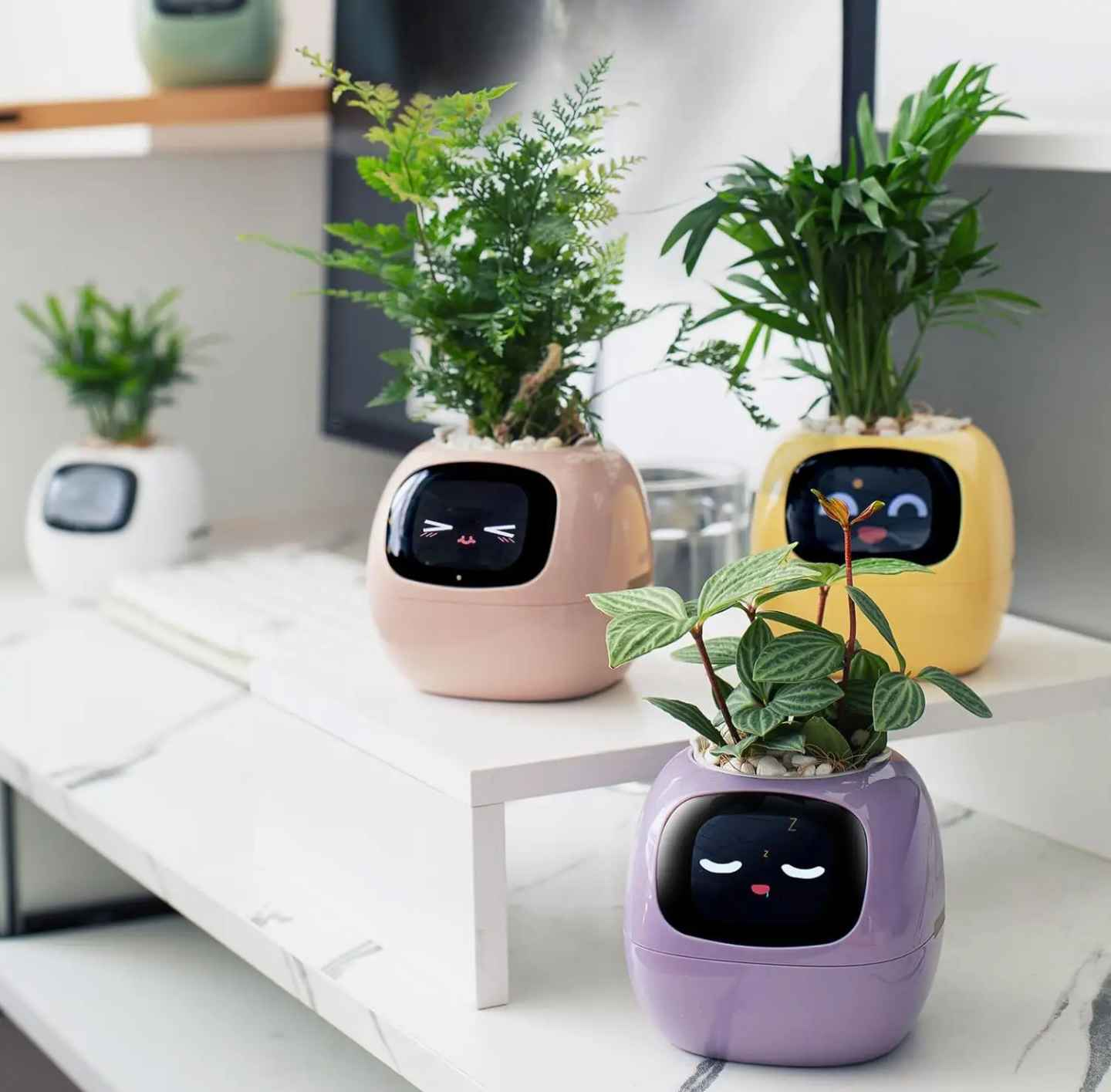 Plantly AI Smart Plant Pot