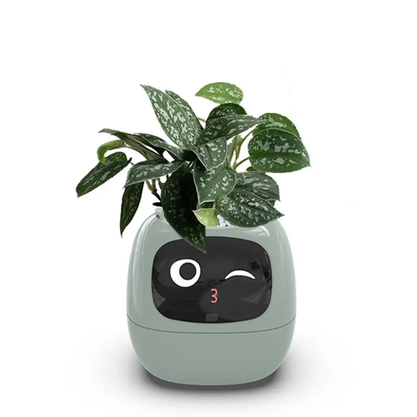 Plantly AI Smart Plant Pot