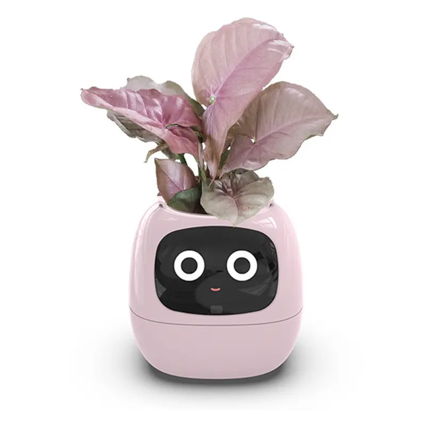 Plantly AI Smart Plant Pot