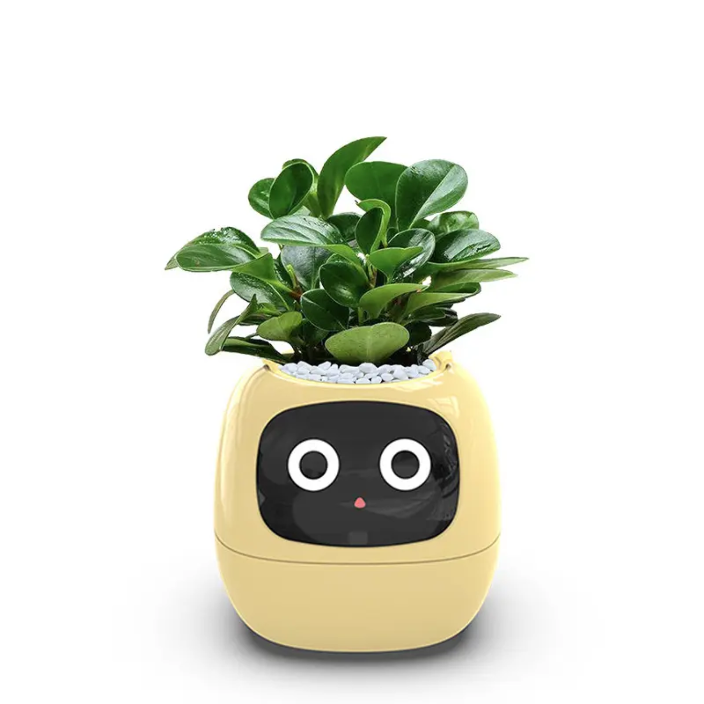 Plantly AI Smart Plant Pot