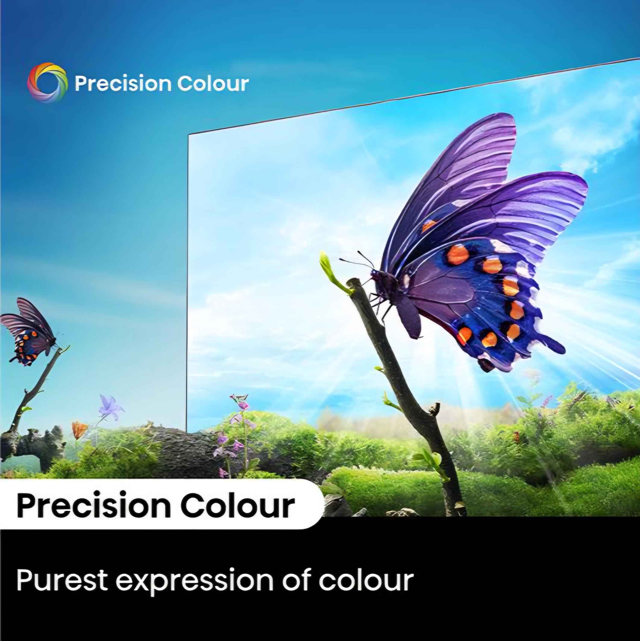 Hisense 55" Smart 4K TV With Amazon Alexa