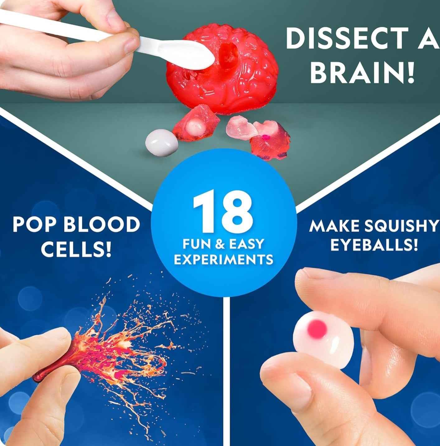 National Geographic Completely Gross Chemistry Set