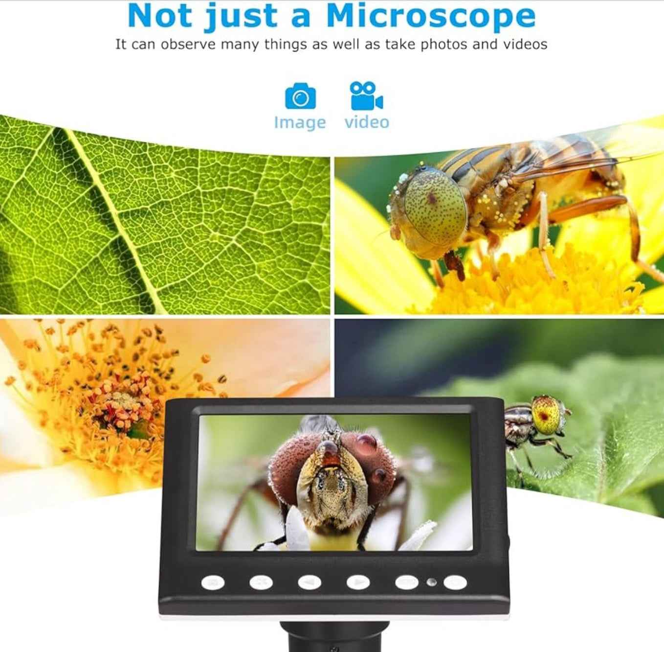 Digital 50X-1000X Microscope With Camera