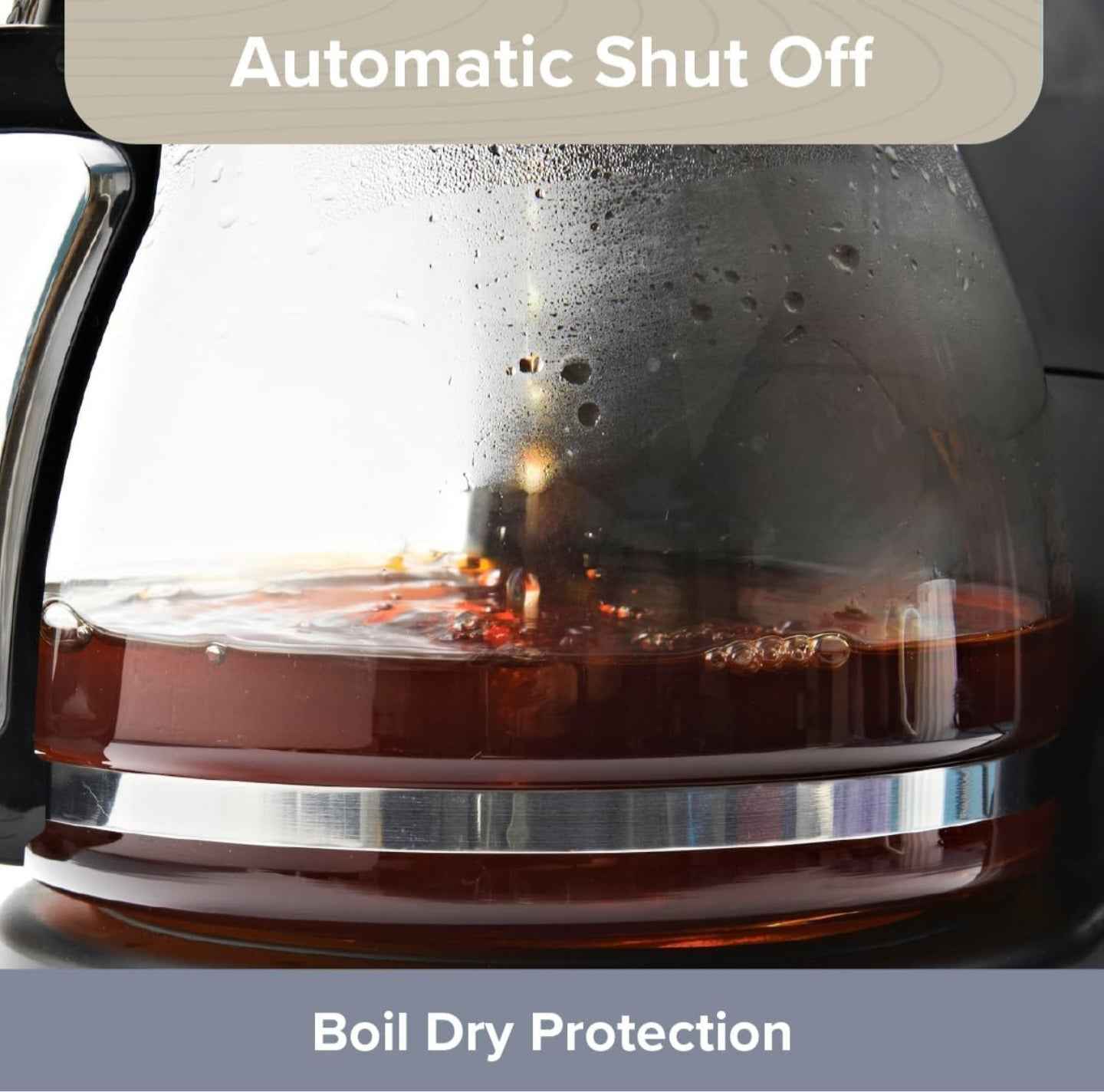 Quest Filter Coffee Machine